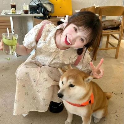 干支魂:猫客万来
