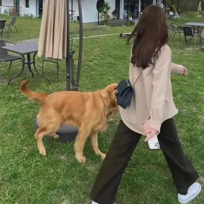 整容的诱惑